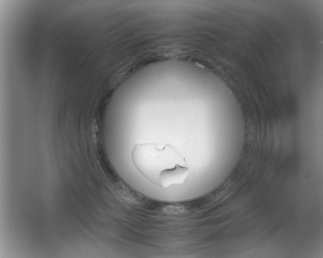 X0000067830279200604130926