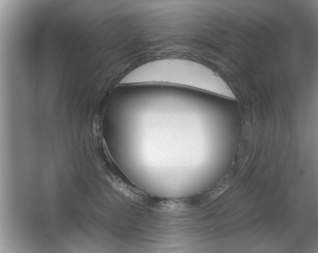 X0000067830284200604130926