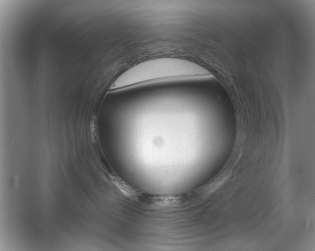X0000067830288200604130926