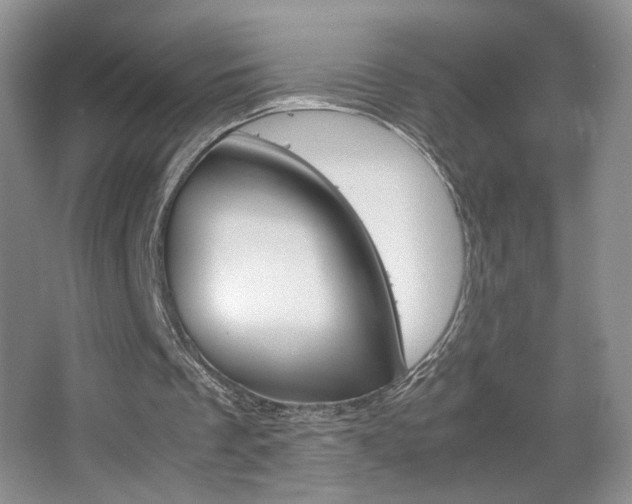 X0000067830289200604130926
