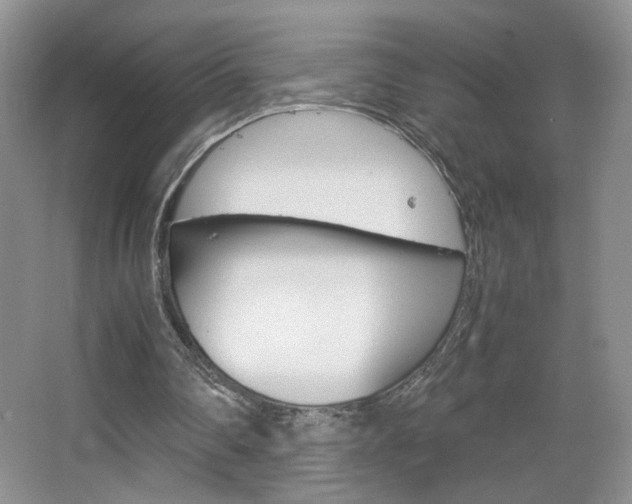 X0000067830290200604130926