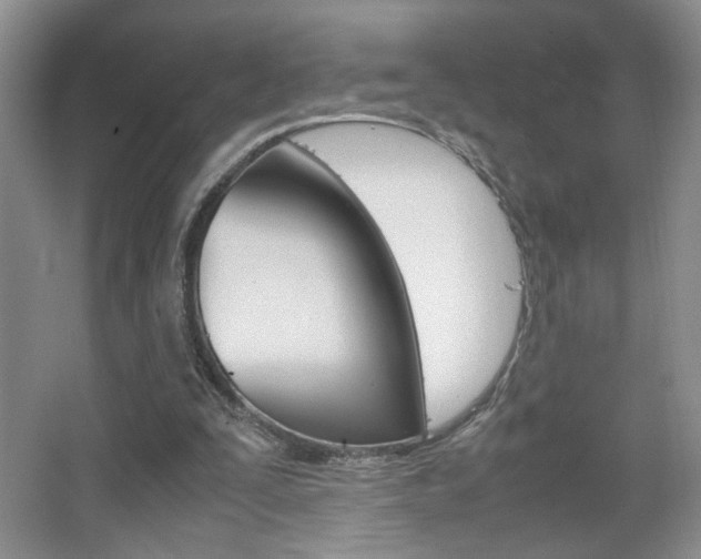 X0000067830295200604130926