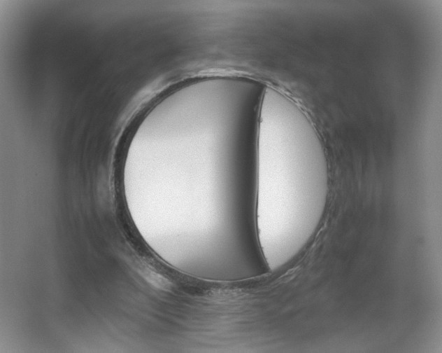 X0000067830296200604130926