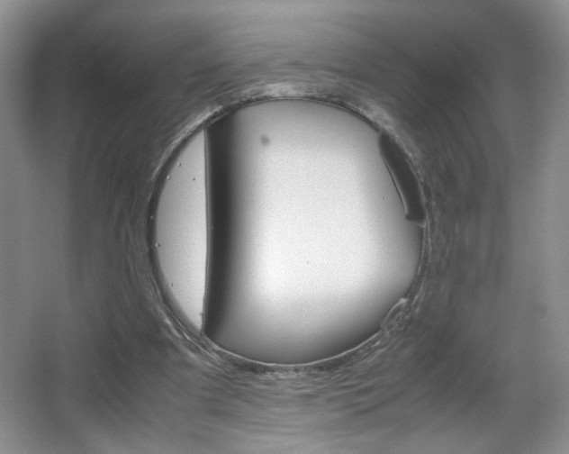 X0000067830297200604130926
