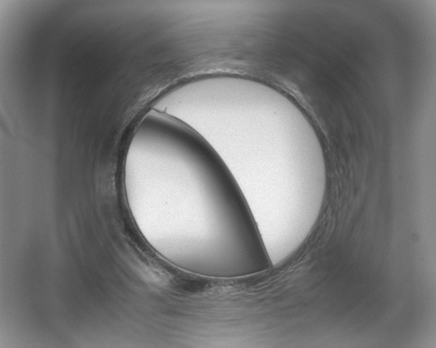 X0000067830299200604130925