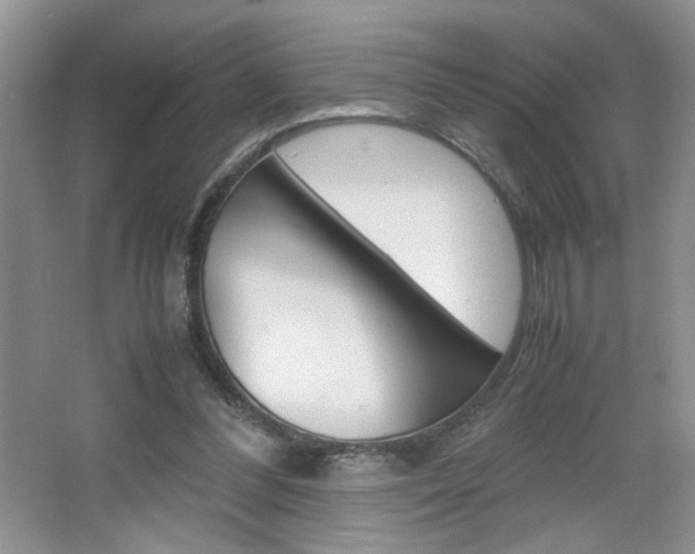 X0000067830300200604130925