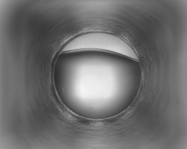 X0000067830301200604130925