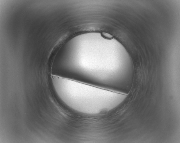 X0000067830304200604130925