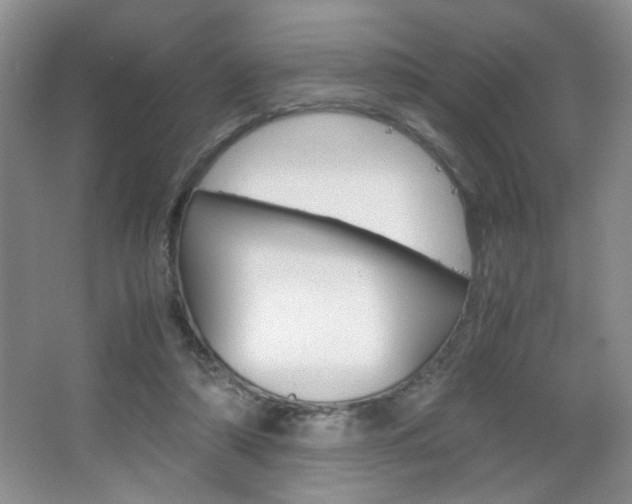 X0000067830306200604130925