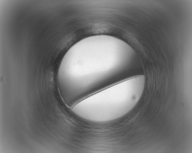 X0000067830308200604130925