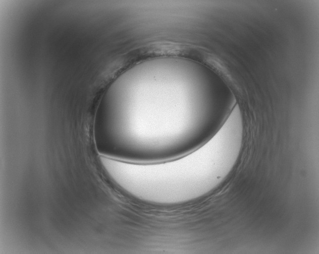 X0000067830309200604130925