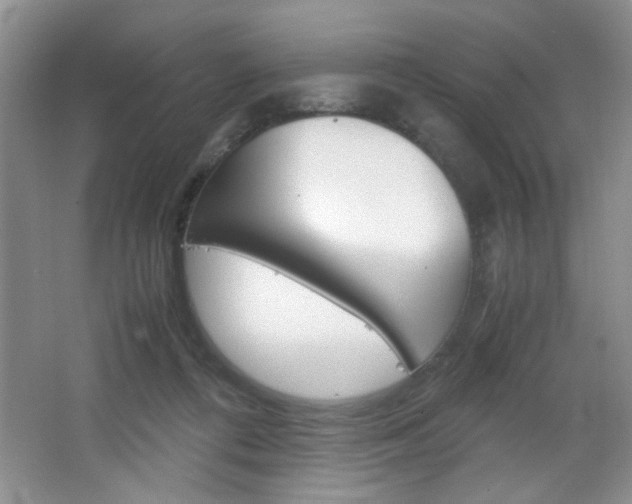 X0000067830312200604130925