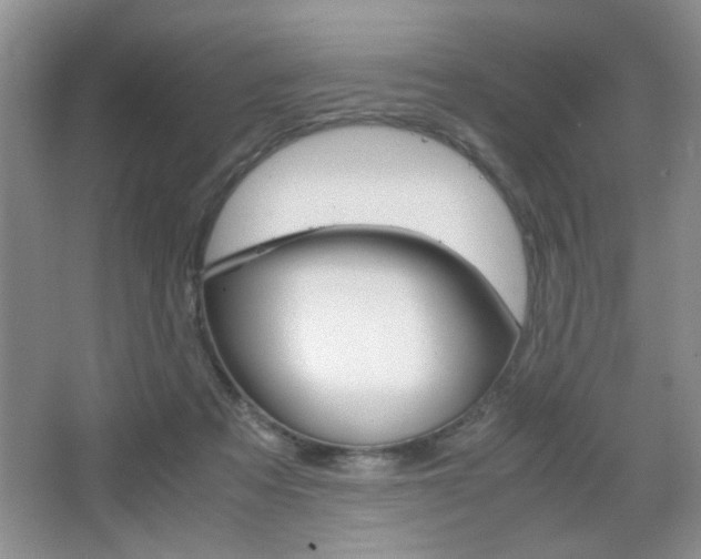 X0000067830313200604130925