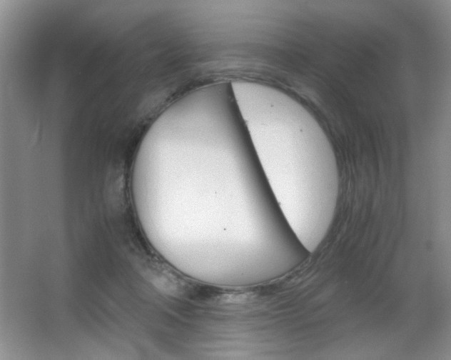 X0000067830314200604130925