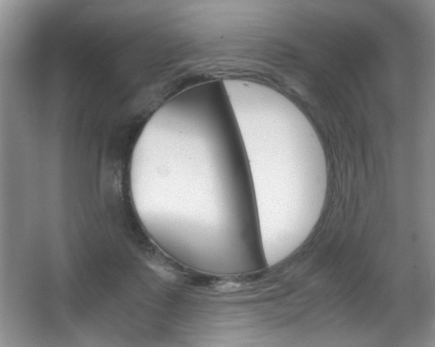X0000067830315200604130925