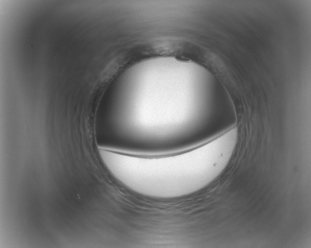 X0000067830317200604130925