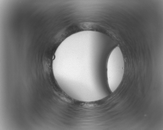 X0000067830332200604130925