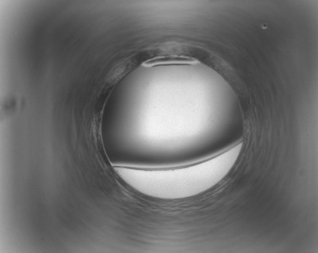 X0000067830333200604130925
