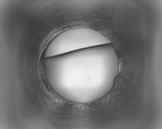 X0000067830339200604130924