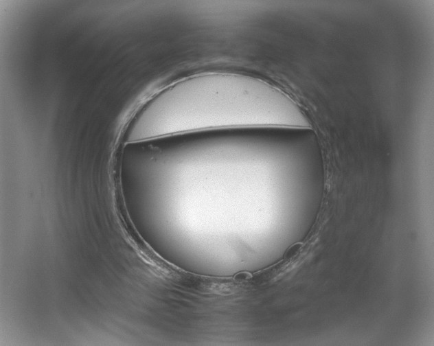 X0000067830341200604130924