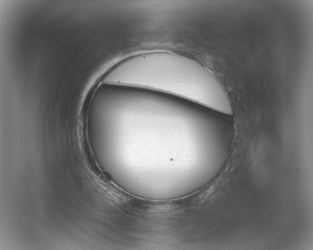 X0000067830342200604130924