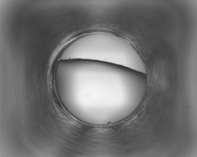 X0000067830343200604130924