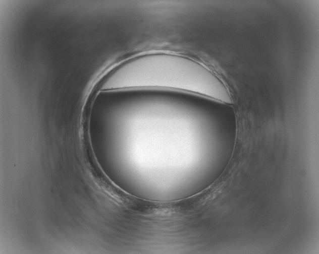 X0000067830344200604130924