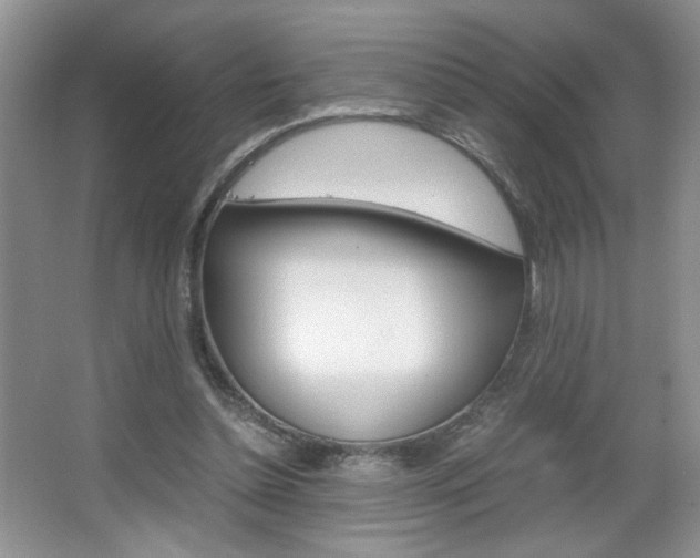 X0000067830348200604130924