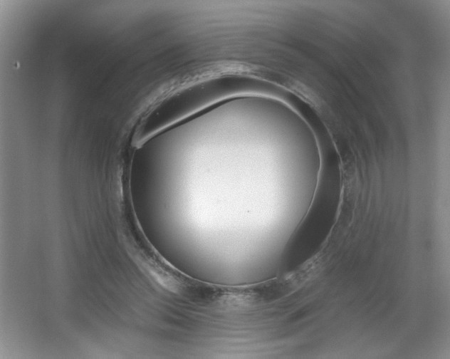 X0000067830350200604130924