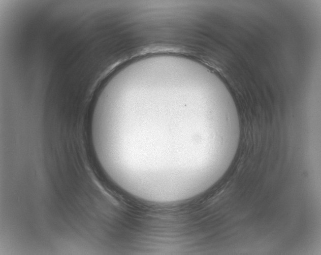 X0000067830352200604130924