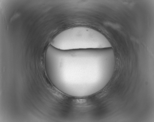 X0000067830361200604130924