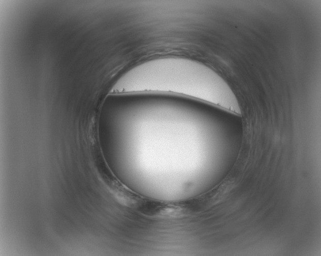 X0000067830364200604130925