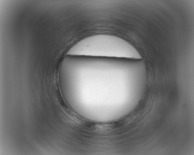 X0000067830367200604130925