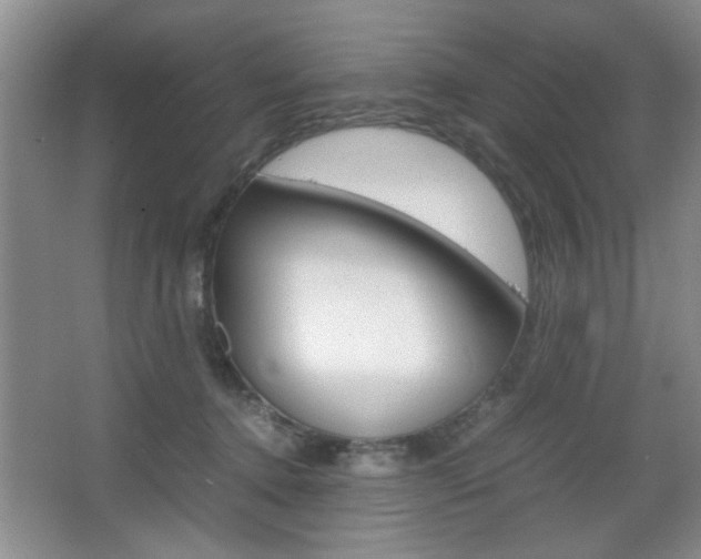 X0000067830368200604130925