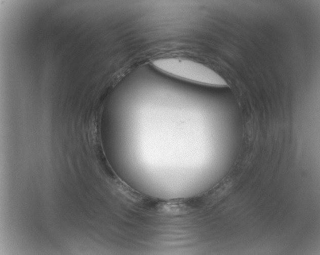 X0000067830372200604130925