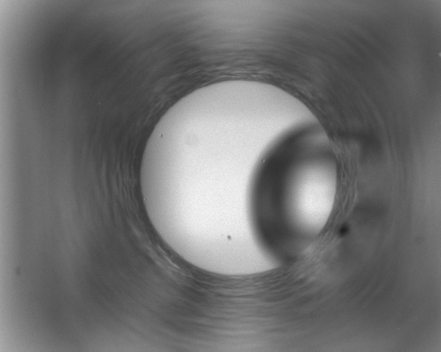 X0000067830380200604130925