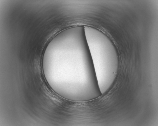 X0000067830386200604130924
