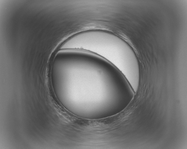 X0000067830387200604130924