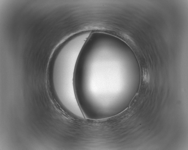 X0000067830388200604130924