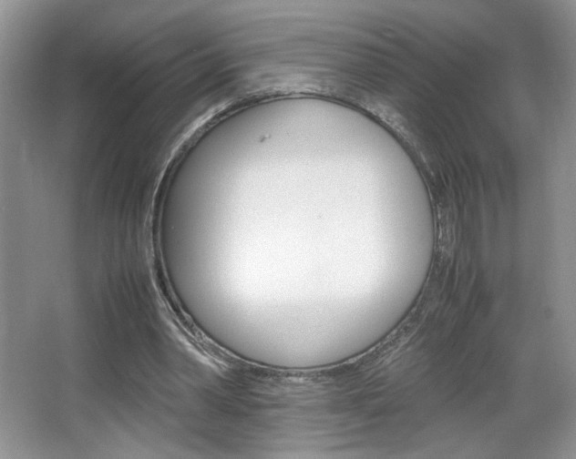 X0000067830390200604130924