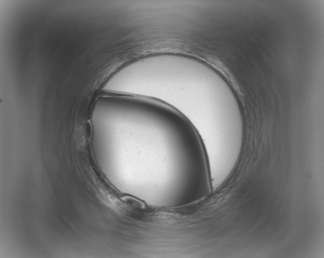 X0000067830393200604130924