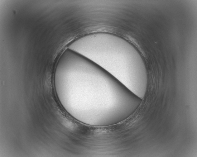 X0000067830394200604130924