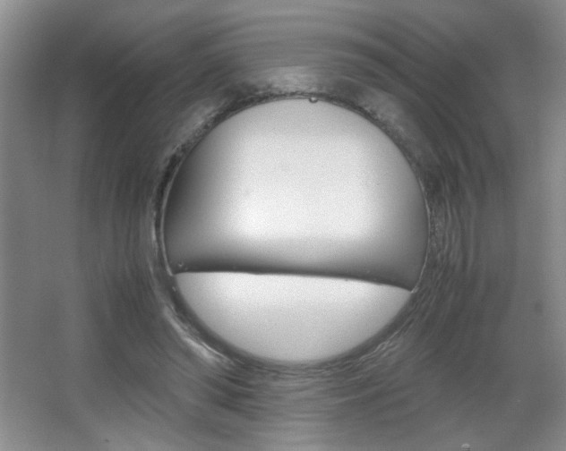 X0000067830398200604130924