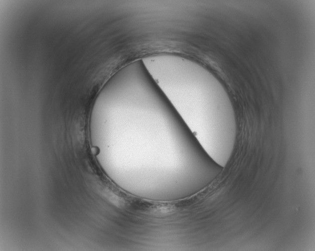 X0000067830402200604130924