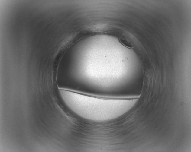 X0000067830404200604130924