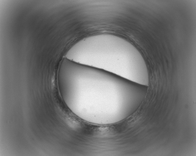 X0000067830406200604130924