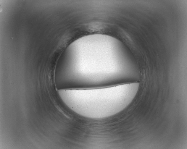 X0000067830408200604130924