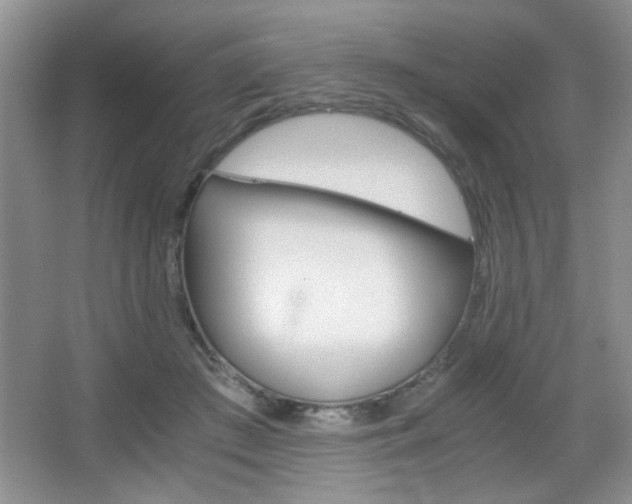 X0000067830409200604130924