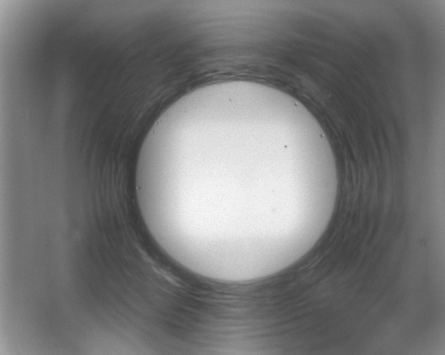 X0000067830412200604130924