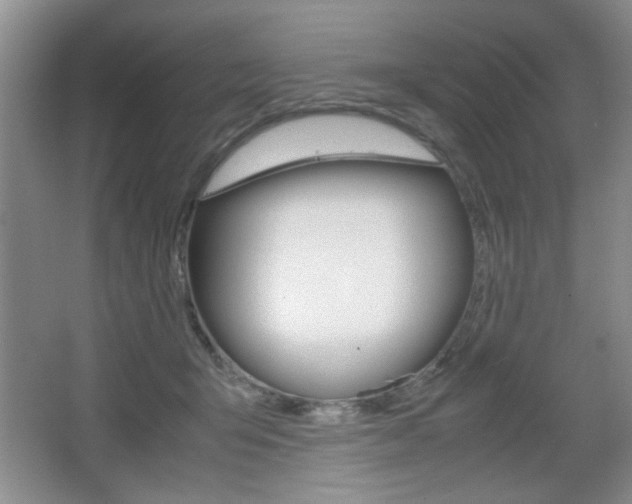 X0000067830415200604130924